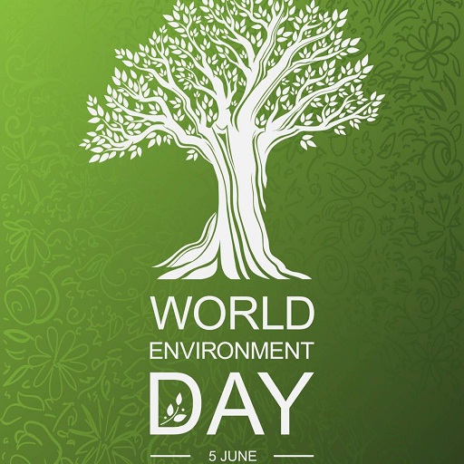 World Environment Day Slogan 2021 : World Environment Day Quotes, Theme